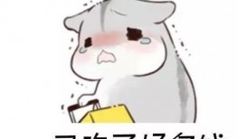 娱乐吃瓜酱当仓鼠店老板,揭秘当仓鼠店老板的趣味日常